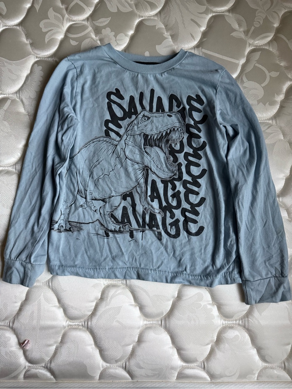 Light Blue Long-Sleeve Tee with Black Dinosaur Graphic